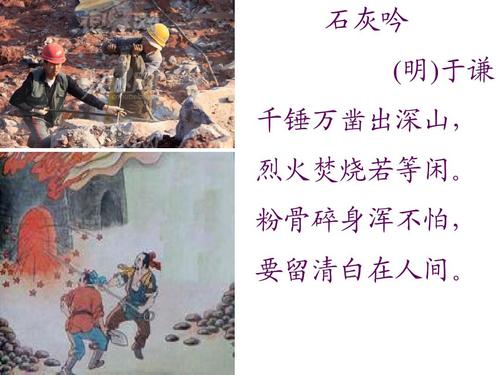 口袋召唤最新版(暂未上线)v1.0 安卓版